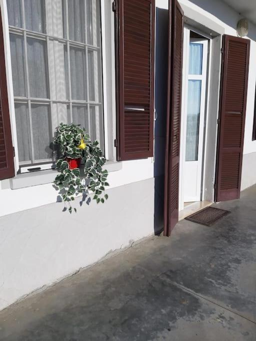 Casa Bruna San Martino Alfieri Bagian luar foto